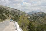0605021503_IMG_4121.jpg