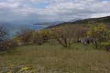 0605031406_DSC05205.jpg