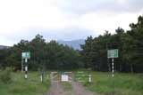 0605032201_IMG_4137.jpg