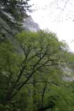 0605071542_IMG_4173.jpg