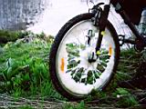 2_21_wheel.JPG