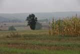 0809230949_CRW_2669.jpg