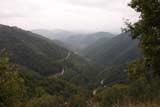 0809241701_CRW_2687.jpg