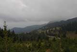 0809241733_CRW_2689.jpg