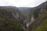 0809271714_CRW_2725.jpg