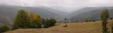 0809281659_CRW_2732_kucki.jpg