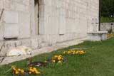 0810011604_CRW_2834.jpg