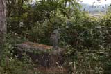 0810021445_CRW_2889.jpg