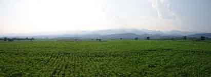 0701251615_IMG_5513.JPG.jpg