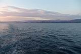 0508041929_DSC04302.jpg