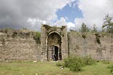 0804281335_CRW_1826.jpg
