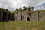 0804281339_CRW_1832.jpg
