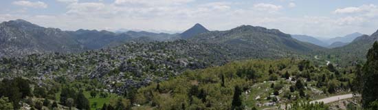 0805011207_CRW_1954_Ibradi.jpg
