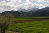 0805011508_CRW_1966.jpg