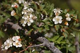 0805020924_CRW_1976.jpg