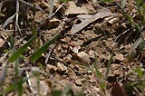 0805021006_CRW_1983.jpg