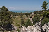 0805021427_DSC08640.jpg