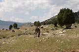 0805021452_CRW_2018.jpg