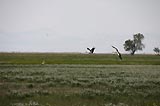 0805021651_CRW_2023.jpg