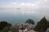 0805021714_CRW_2029.jpg