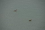 0805021724_CRW_2036.jpg