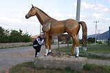 0805021848_CRW_2041.jpg
