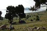 0805030804_CRW_2045.jpg