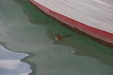 0805041516_CRW_2078.jpg