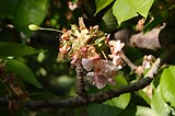 0805050816_CRW_2095.jpg