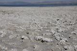 0805061427_CRW_2123.jpg