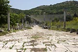 0805091231_CRW_2177.jpg