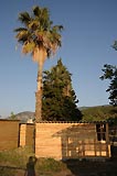 0805091921_CRW_2208.jpg