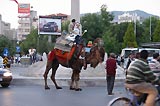 0805102009_CRW_2228.jpg