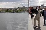 0805111524_CRW_2247.jpg